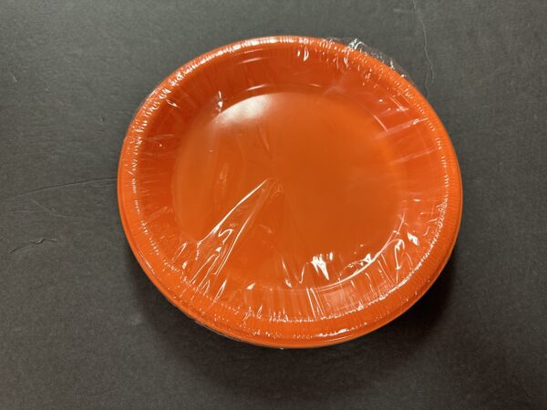 Touch of Color: Sunkissed Orange - Image 7