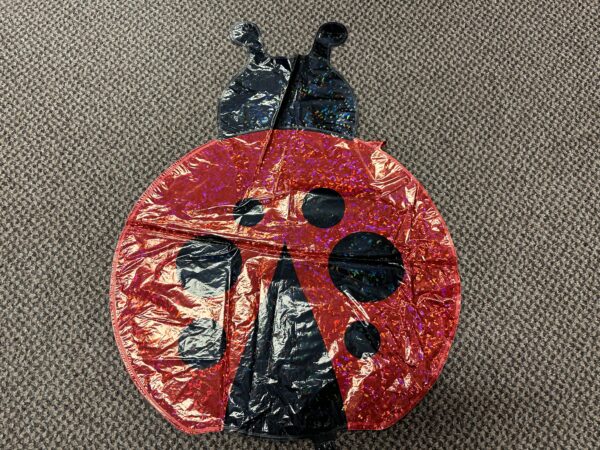 Extra Large Mylar Balloons - Image 11